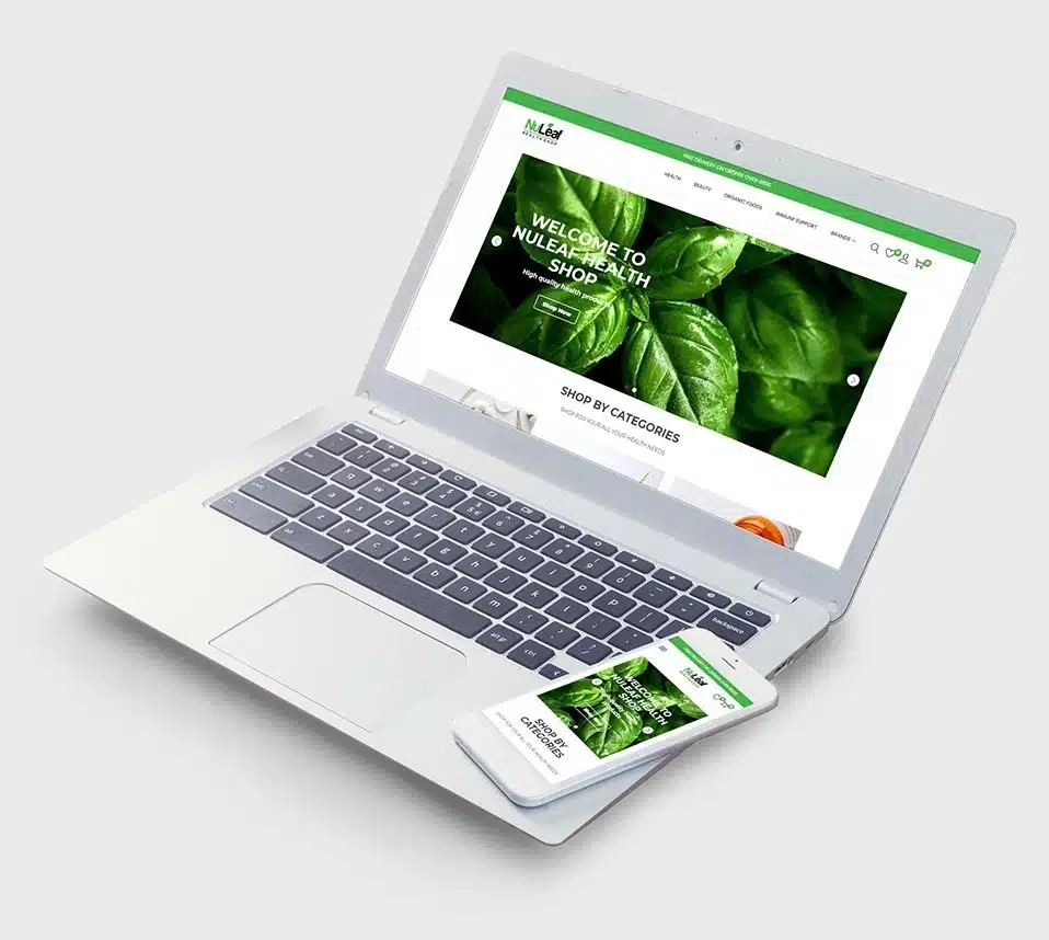 About our web design company Mondli Solutions
